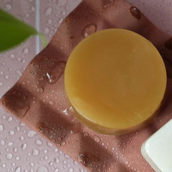 dip mimosa & sandalwood conditioner bar and after swim detangled dip mimosa & sandalwood conditioner bar and after swim detangled
