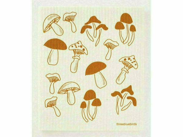 Fungi on White   Fungi on White