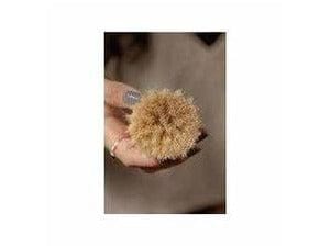 Dish Brush Handheld Short Handle Bamboo Dish Brush Zefiro    Dish Brush Handheld Short Handle Bamboo Dish Brush Zefiro