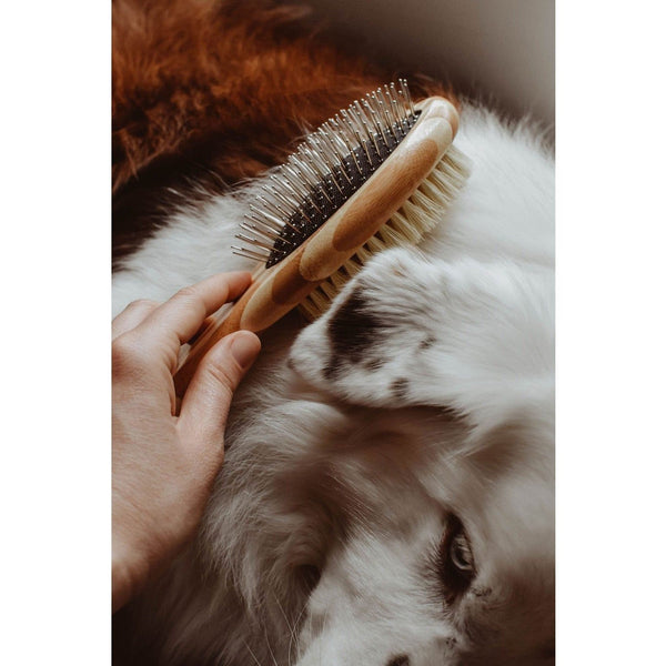 Natural Bristle Dog Brush Natural Bristle Dog Brush with bamboo and natural rubber Zefiro   