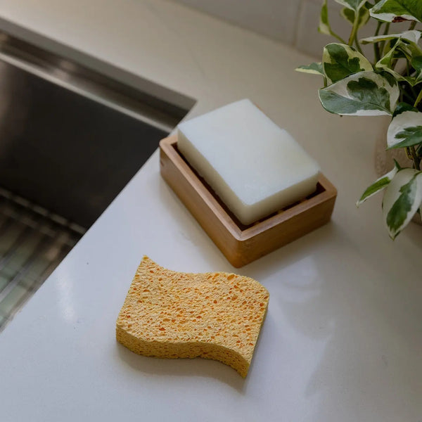 Kitchen Sponge - 2 pack