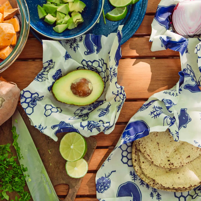 Back-to-School Favorites
