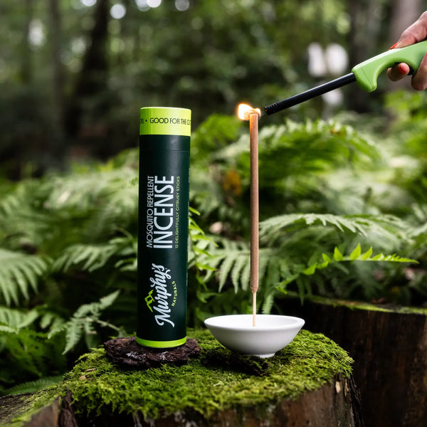 Incense stick being lit next to a cardboard tube of incense on a forest background