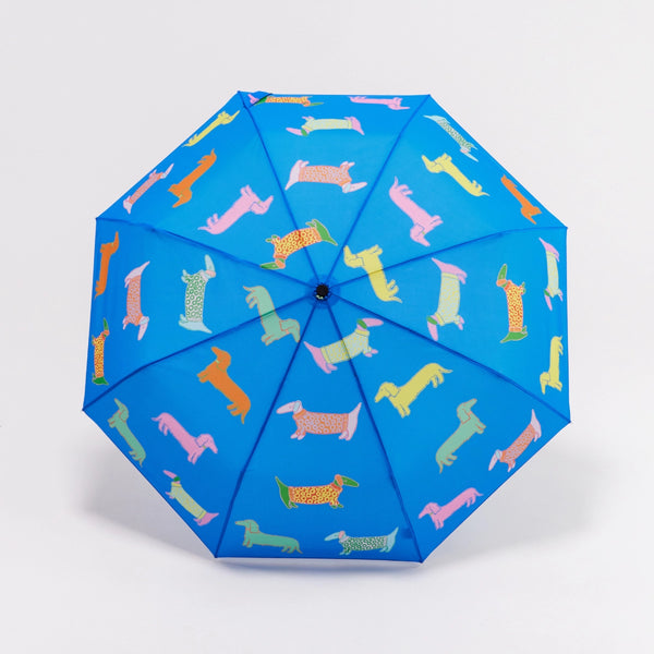 Original Duckhead Umbrella - Dachshund on Blue