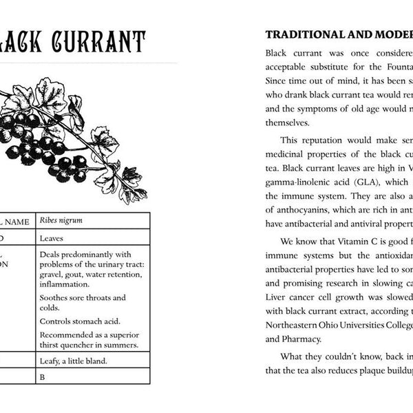 Everyday Herbal Teamaking: Health, Fun, and Self-Care Guide