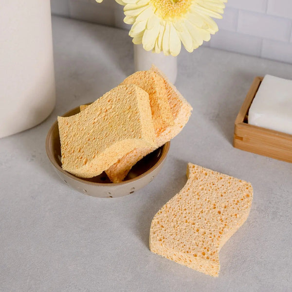 Kitchen Sponge - 2 pack
