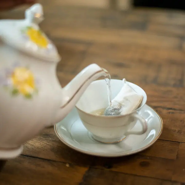 Reusable Tea Bag 2-pack