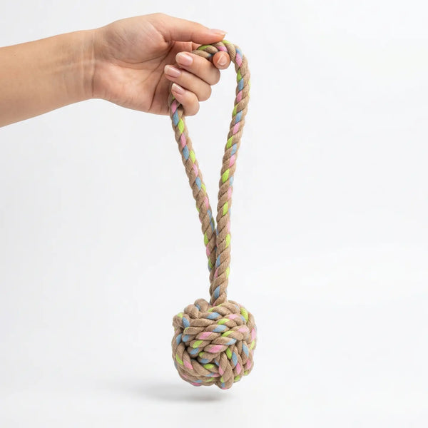 Rainbow Knotted Tug of War Toy