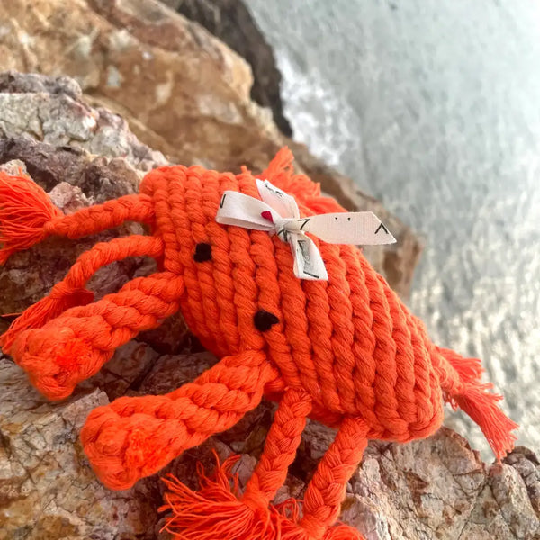 Orange knitted crab toy with a white bow on a rocky surface near water.