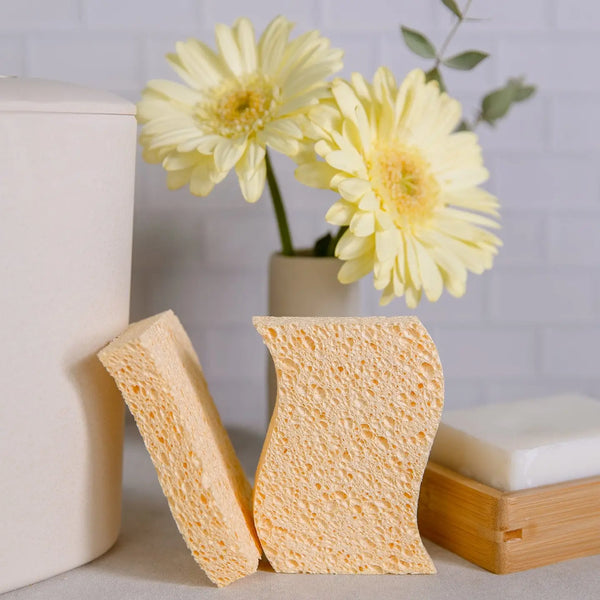 Kitchen Sponge - 2 pack