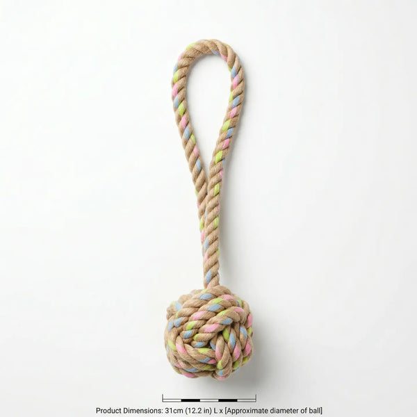 Rainbow Knotted Tug of War Toy