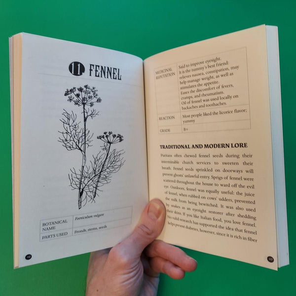Everyday Herbal Teamaking: Health, Fun, and Self-Care Guide