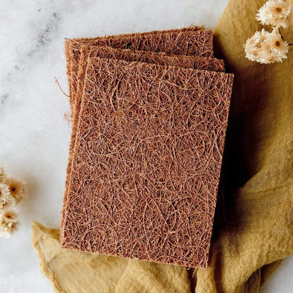 Coconut Kitchen Scrub Pad - 5 pack