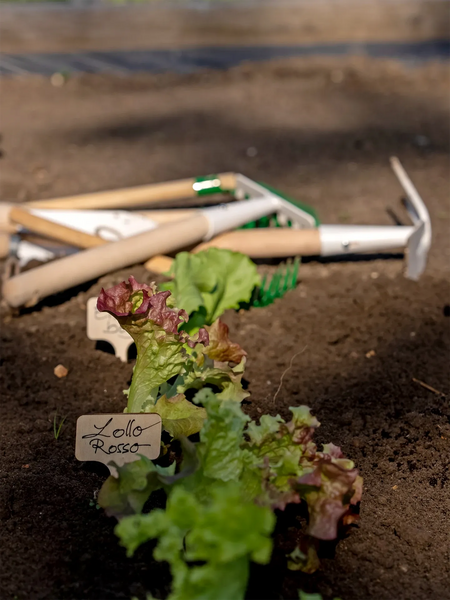 Garden Tool Set