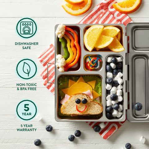 Rover Lunch Box