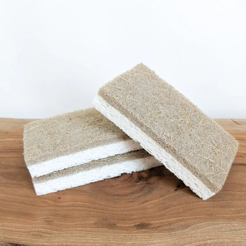 Coconut and Wood Pulp Sponges