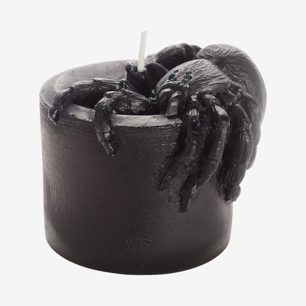 Beeswax Spider Pillar Candle