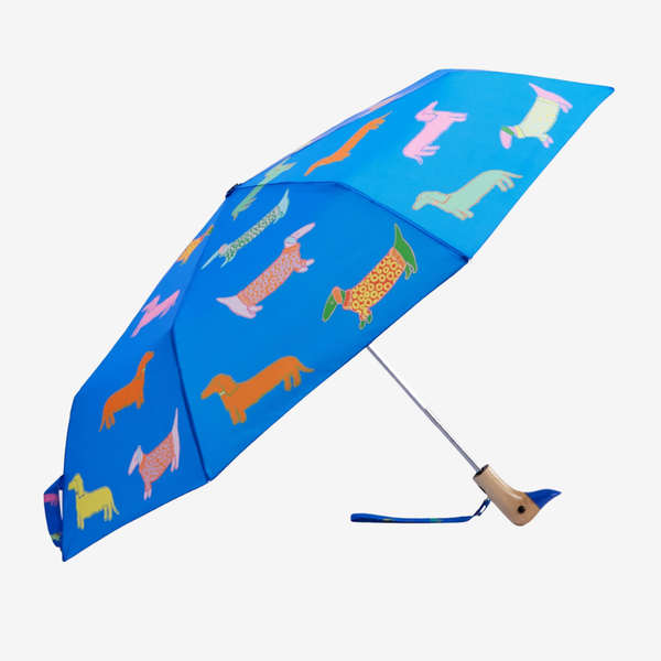 Original Duckhead Umbrella - Dachshund on Blue