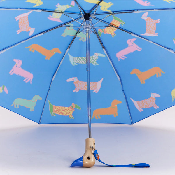 Original Duckhead Umbrella - Dachshund on Blue
