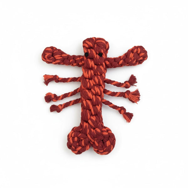 Red braided dog toy shaped like a lobster on a white background