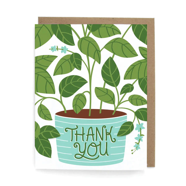 Thank You Cards