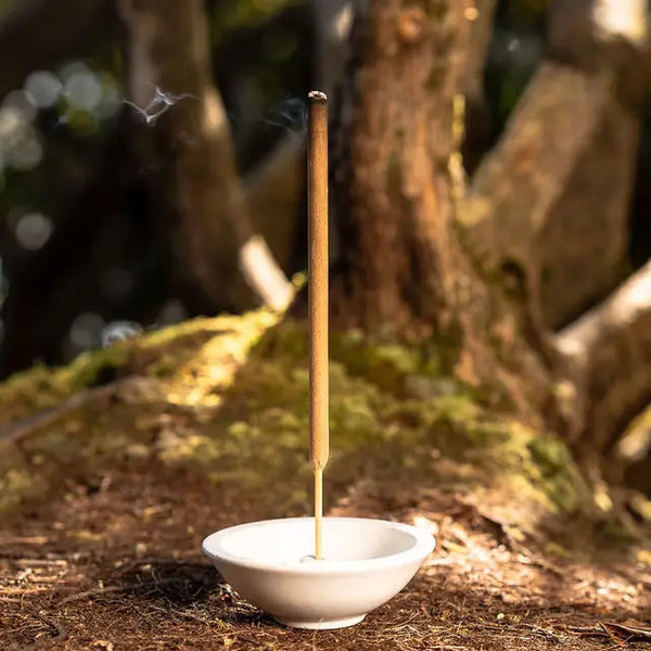 Incense stick in a white dish with a natural forest background