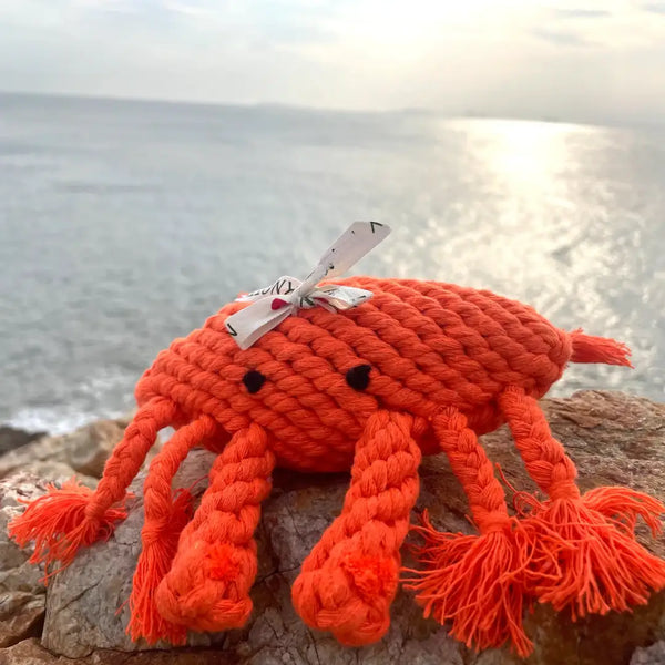 Orange knitted crab toy with a white bow on a rock by the ocean