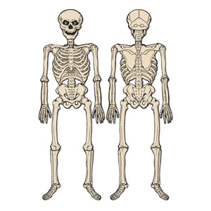 Vintage Halloween Jointed Skeleton