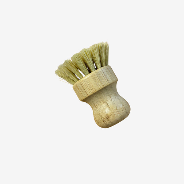 Dish Hand Brush