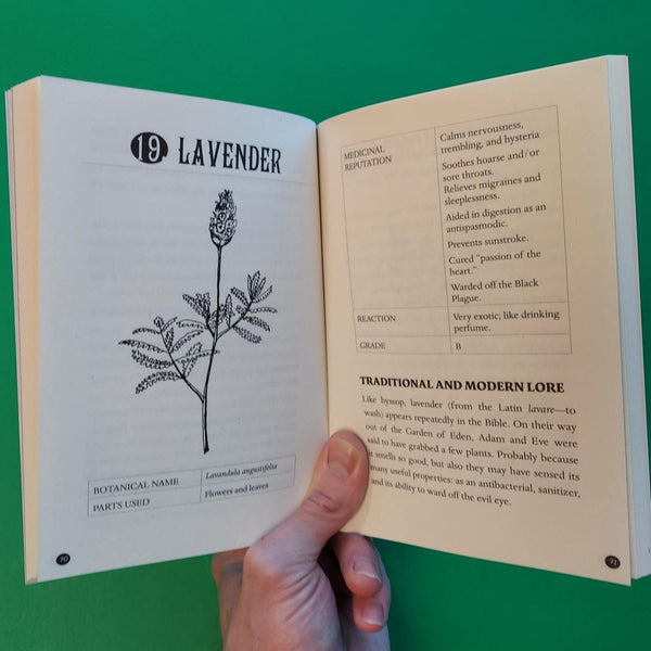 Everyday Herbal Teamaking: Health, Fun, and Self-Care Guide