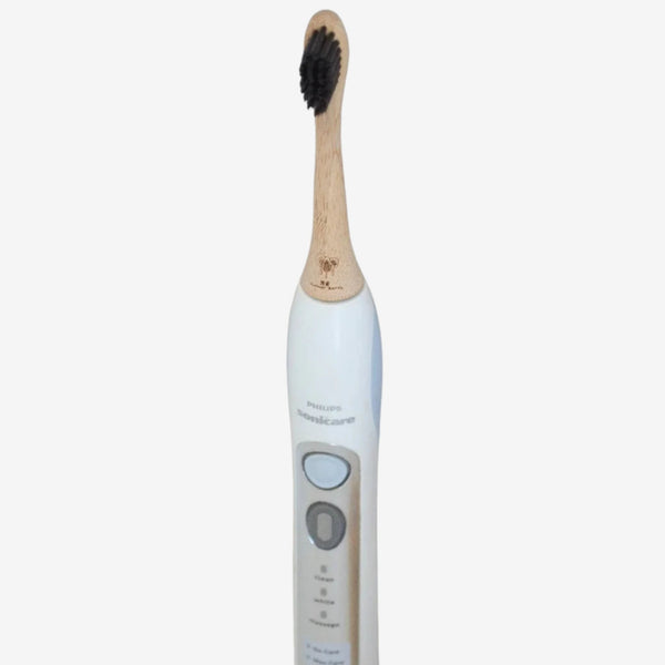 Electric Toothbrush Heads, Charcoal