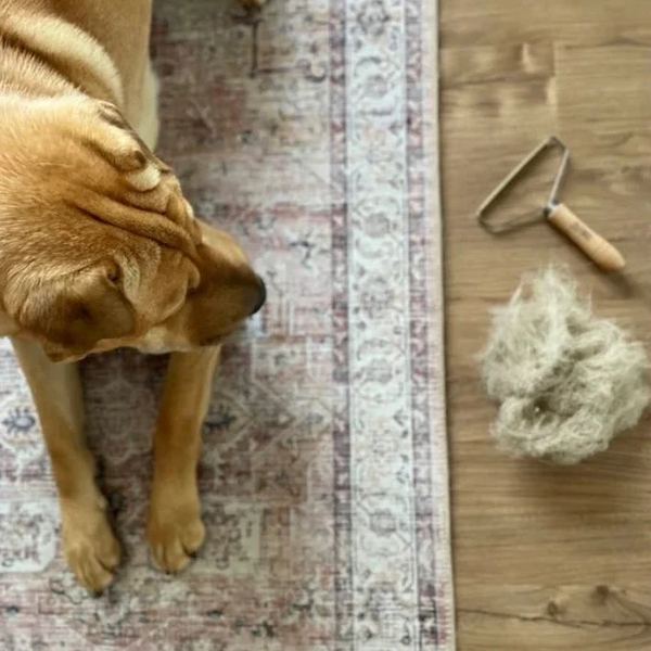 Lint Remover