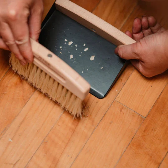 Mini Dustpan Set