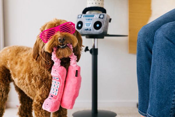 Eco-Friendly Dog Toys- 80s and 90s Classics