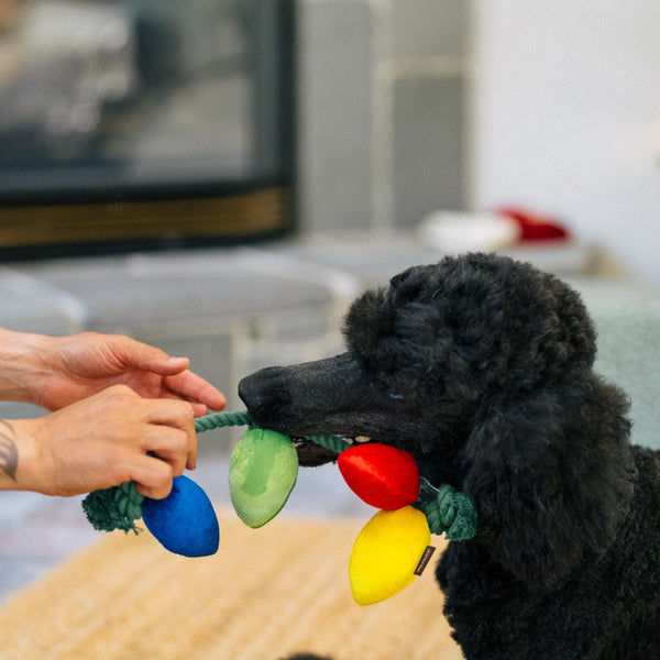 Eco-Friendly Dog Toys-Home For the Holidays