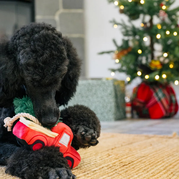 Eco-Friendly Dog Toys-Home For the Holidays