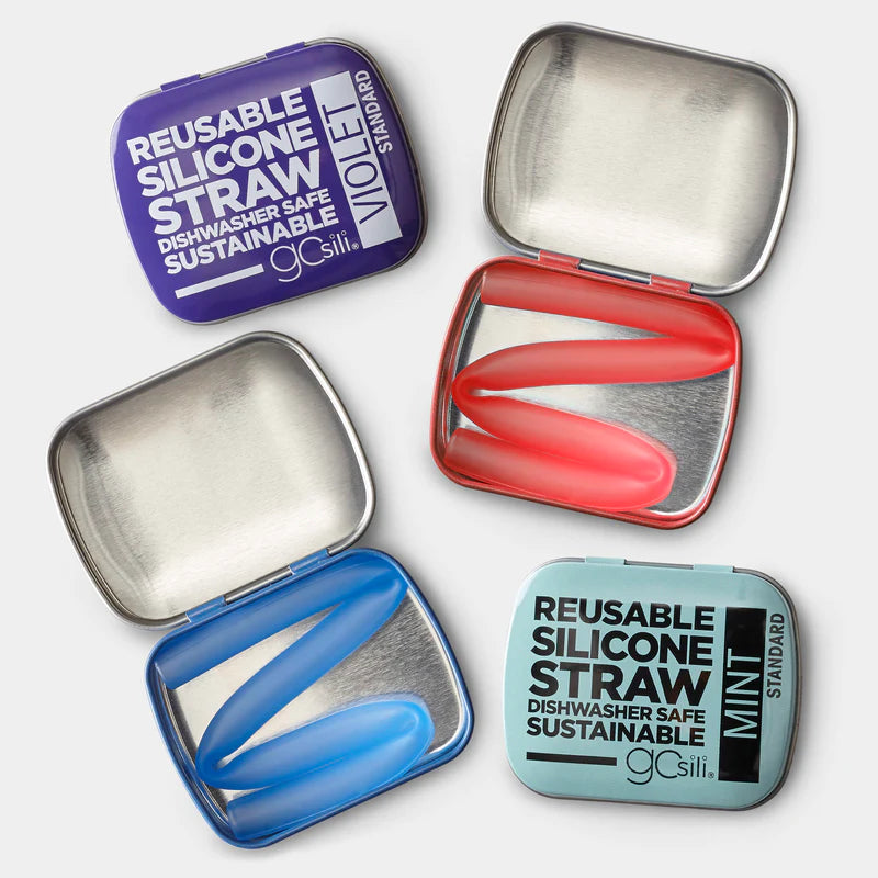 Standard Size Reusable Silicone Straw with tin