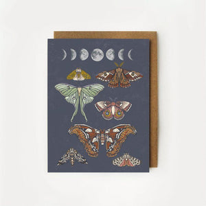 Moonlit Moths Everyday Boxed Cards, Set of 8