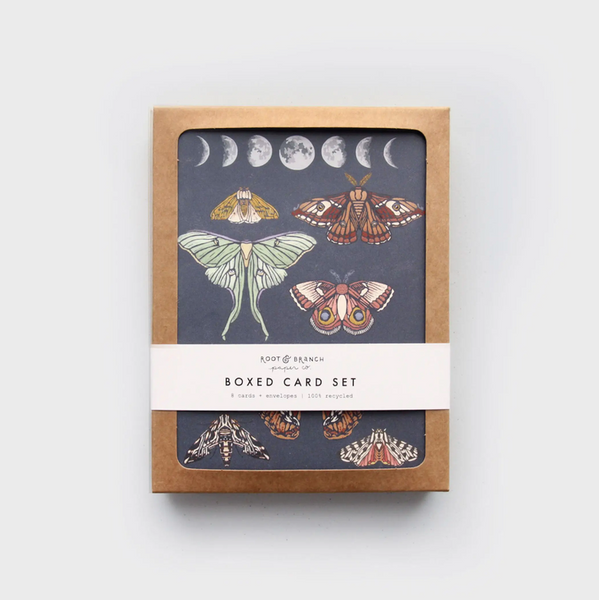 Moonlit Moths Everyday Boxed Cards, Set of 8