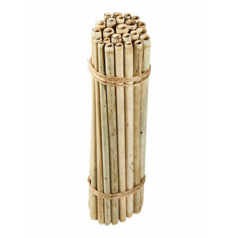 Single Bamboo Straws beverage Brush With Bamboo   