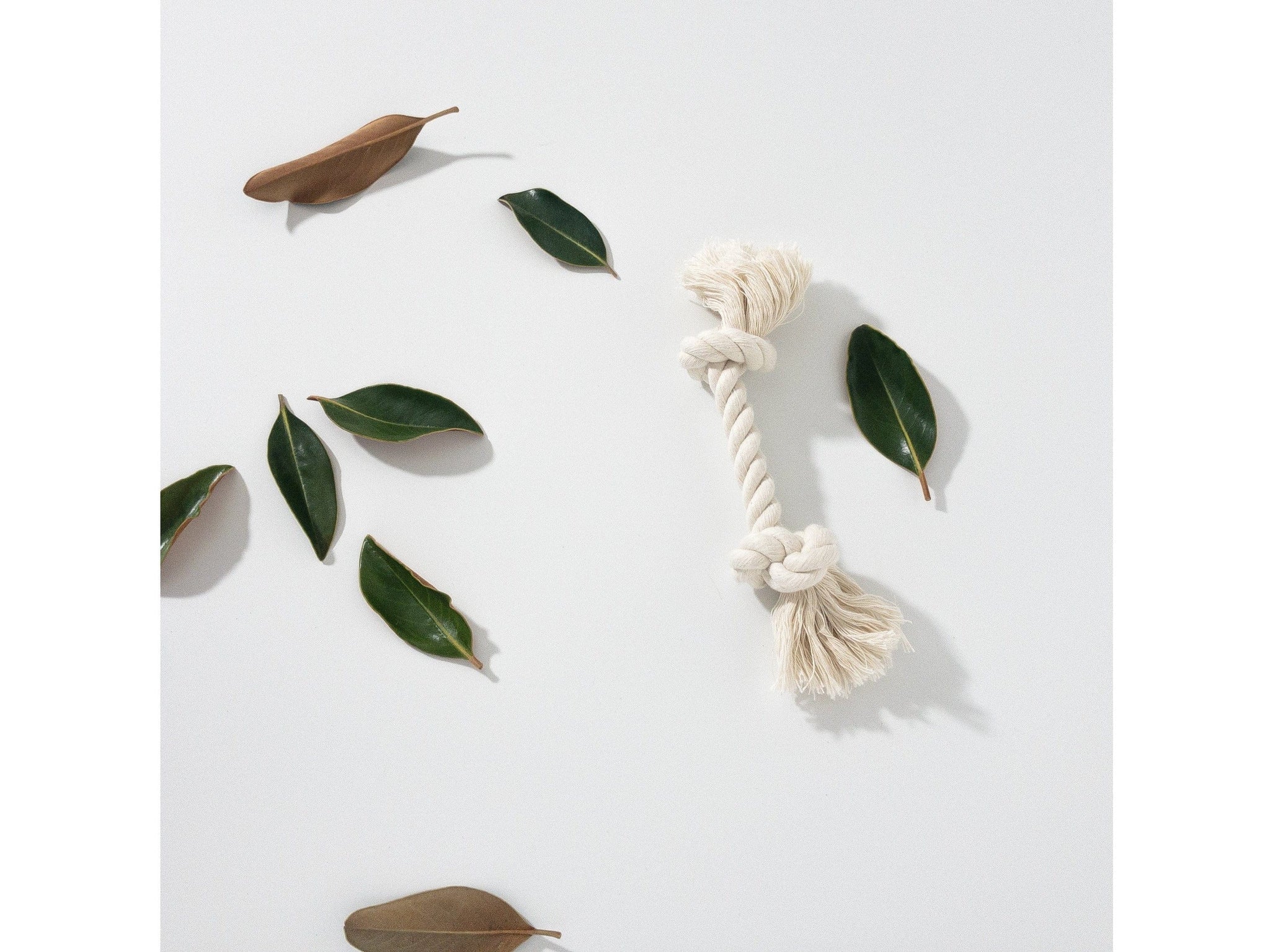 Organic Cotton Dog Rope Toy pets Boba & Vespa Medium: 5/8” with 3 knots  