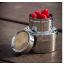 https://vintagegreenreview.com/cdn/shop/products/stainless-sidekick-snack-container---smallfrontiervintage-green-review-27969219_grande.png?v=1684480805