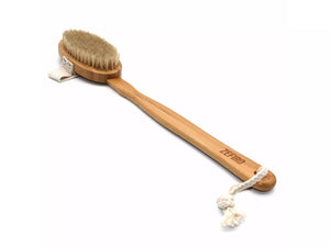 Wet Dry Body Brush - Long Handle compostable wet dry body brush with replaceable head Zefiro Brush with removable handle  