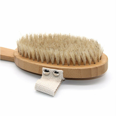 Wet Dry Body Brush - Long Handle compostable wet dry body brush with replaceable head Zefiro   